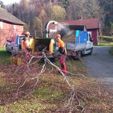 Flishugging i Porsgrunn, Telemark