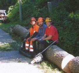 Trefelling i Langesund