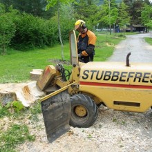 Stubbefresing