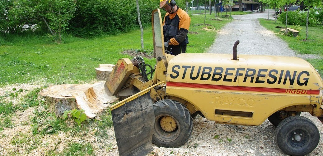 Stubbefresing stubbefjerning skien porsgrunn og Bamble